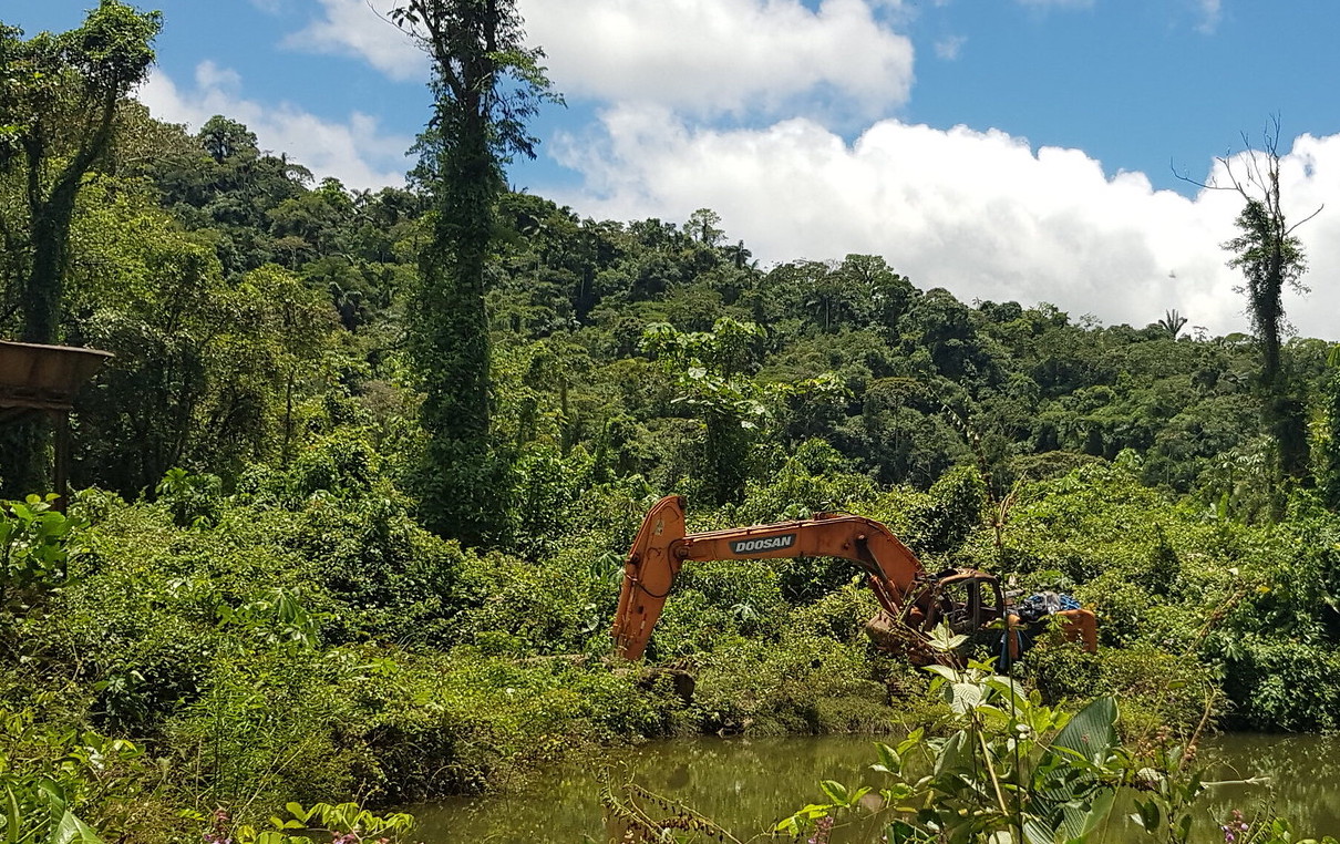 Large scale digging within the Amarakaeri Commual Reserve and the buffer zone, by illegal gold miners